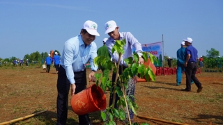 Đắk Lắk: Huyện Krông Búk trồng 515 cây xanh mừng ngày sinh Chủ tịch Hồ Chí Minh