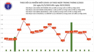 Tối 20/5: Ghi nhận 1.190 ca mắc COVID-19 mới, có 302 bệnh nhân khỏi bệnh, 1 ca tử vong tại Tây Ninh