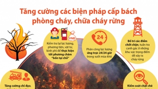 Công điện của Thủ tướng Chính phủ về việc tăng cường các biện pháp cấp bách phòng cháy, chữa cháy rừng