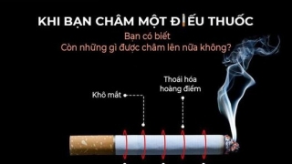 Ngày Thế giới không thuốc lá 31/5: Thuốc lá có thể gây ra nhiều bệnh lý nguy hiểm về mắt