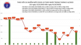 Tối 1/6: Ghi nhận 950 ca mắc COVID-19 mới, có 202 bệnh nhân khỏi bệnh