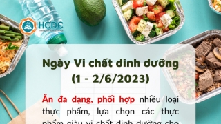 Ngày Vi chất dinh dưỡng 1 - 2/6/2023