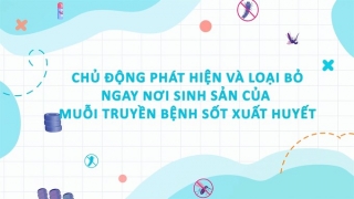 Bộ Y tế đề nghị tổ chức các hoạt động hưởng ứng 'Ngày ASEAN phòng chống sốt xuất huyết' và phòng chống dịch bệnh mùa hè