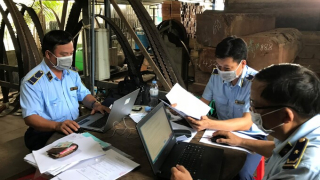 Tiền Giang phát hiện 1 cơ sở cưa xẻ gỗ tàng trữ 10 hộp gỗ gõ đỏ quý hiếm