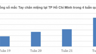 TP. HCM: Nguy cơ bùng phát dịch bệnh tay chân miệng và sốt xuất huyết