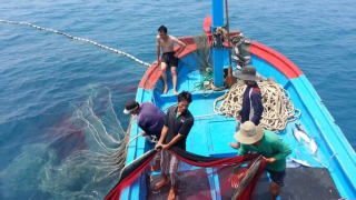 Chống khai thác hải sản bất hợp pháp, không báo cáo và không theo quy định