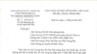 Nghệ An khuyến cáo tàu thuyền chủ động ứng phó với gió mạnh trên biển