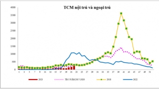 TP. HCM ghi nhận số ca mắc tay chân miệng tăng hơn 2 lần