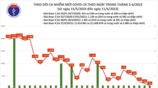 Tối 11/6: Ghi nhận thêm 115 ca mắc COVID-19 mới, có 69 bệnh nhân khỏi bệnh