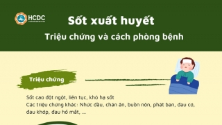 Triệu chứng và cách phòng bệnh sốt xuất huyết