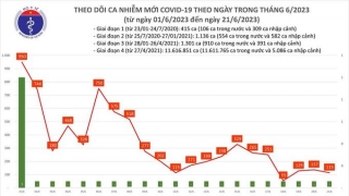 Tối 21/6: Ghi nhận 115 ca mắc COVID-19 mới, có 23 bệnh nhân khỏi bệnh