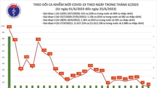 Tối 25/6: Ghi nhận thêm 29 ca mắc COVID-19, có 3 bệnh nhân khỏi bệnh