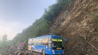 Sơn La: 1 người tử vong do sét đánh khi đang đứng trú mưa dưới gốc cây