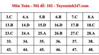 Gợi ý đáp án các mã đề thi môn Toán Kỳ thi tốt nghiệp THPT năm 2023