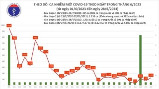 Tối 28/6: Ghi nhận 125 ca mắc COVID-19 mới, có 25 bệnh nhân khỏi bệnh