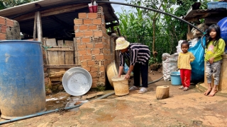 Ngành y tế Lâm Đồng tăng cường phòng và điều trị, giảm tử vong do sốt xuất huyết