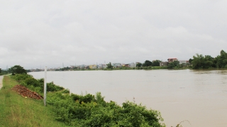 Bắc Giang tập trung khắc phục hậu quả, chủ động ứng phó sạt lở và đảm bảo an toàn đê điều