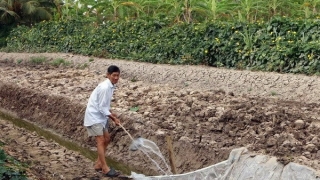 Quảng Bình chủ động triển khai các phương án phòng, chống hạn hán, thiếu nước, xâm nhập mặn