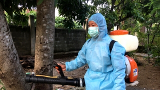 Quảng Bình tăng cường công tác phòng, chống dịch bệnh do muỗi truyền vì hiện tượng El Nino