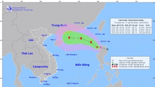 Cập nhật tình hình áp thấp nhiệt đới ở Biển Đông đến 17h chiều nay ngày 14/7