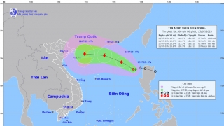 Cập nhật tình hình áp thấp nhiệt đới trên Biển Đông đến 7h ngày 15/7