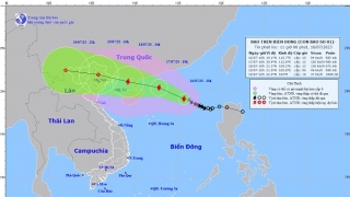 Cà Mau triển khai ứng phó với bão số 1