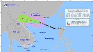 Cập nhật tình hình cơn bão số 1 năm 2023 - TALIM đến 13h chiều ngày 17/7