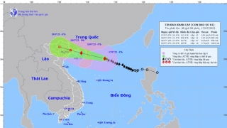 Cập nhật tình hình cơn bão số 1 - TALIM đến 7h sáng ngày 17/7