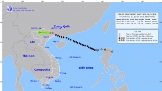 Cập nhật tình hình cơn bão số 1 năm 2023: Suy yếu thành áp thấp nhiệt đới