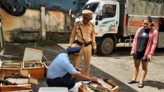 Quảng Ninh phát hiện, xử phạt và buộc tiêu hủy gần 500 kg cua lông, chân gà rút xương và nội tạng động vật không rõ nguồn gốc xuất xứ