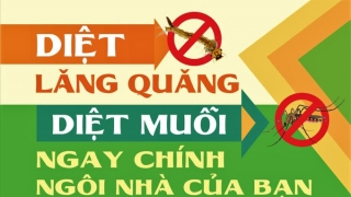 Cà Mau tăng cường phòng, chống các bệnh do muỗi truyền vì hiện tượng El Nino