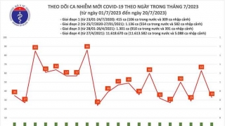 Tối 20/7: Ghi nhận 33 ca mắc COVID-19, có 12 bệnh nhân khỏi bệnh