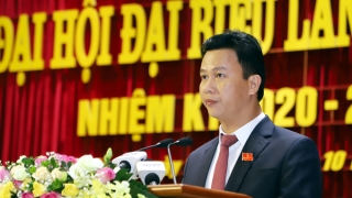 Phân công Phó Chủ tịch Thường trực và Phó Chủ tịch Ủy ban sông Mê Công Việt Nam