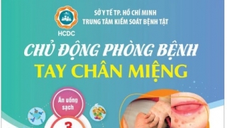 TP. HCM: Ca mắc tay chân miệng, sốt xuất huyết đều gia tăng