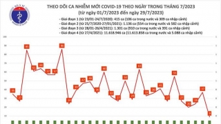 Tối 29/7: Ghi nhận 9 ca mắc COVID-19 mới, có 8 bệnh nhân khỏi bệnh