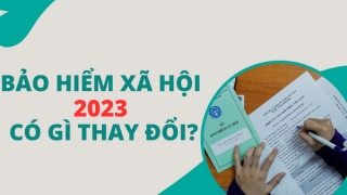 Nghị quyết phiên họp Chính phủ tháng 7 năm 2023 về dự án Luật Bảo hiểm xã hội (sửa đổi)