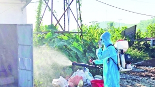 Thanh Hóa tăng cường phòng, chống các bệnh do muỗi truyền vì hiện tượng El Nino