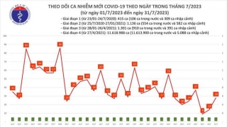 Tối 31/7: Ghi nhận 28 ca mắc COVID-19 mới, có 1 bệnh nhân khỏi bệnh