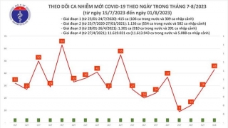 Tối 1/8: Ghi nhận 43 ca mắc COVID-19 mới, có 4 bệnh nhân khỏi bệnh