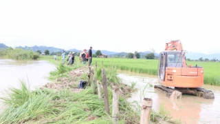 Đắk Lắk chủ động phòng chống sạt lở, bảo đảm an toàn tính mạng, tài sản của nhân dân trước và trong mùa mưa lũ