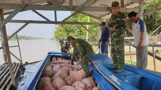 Công điện về việc ngăn chặn, phát hiện và xử lý nghiêm các trường hợp buôn bán, vận chuyển trái phép lợn qua biên giới vào Việt Nam