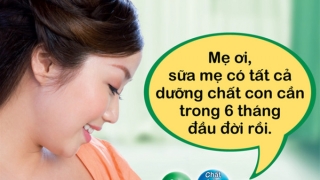 Cao Bằng hưởng ứng Tuần lễ Thế giới nuôi con bằng sữa mẹ từ ngày 1-7/8