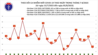 Tối 5/8: Ghi nhận 13 ca mắc COVID-19, có 7 bệnh nhân khỏi bệnh