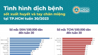 TPHCM: Số ca mắc bệnh tay chân miệng tiếp tục tăng nhanh