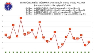 Tối 6/8: Ghi nhận 19 ca mắc COVID-19, có 1 bệnh nhân khỏi bệnh