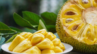 Lý do không nên ăn nhiều mít khi đói