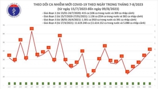 Tối 9/8: Ghi nhận 39 ca mắc COVID-19 mới, có 5 bệnh nhân khỏi bệnh