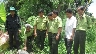 Gia Lai tăng cường phòng chống tội phạm về đa dạng sinh học