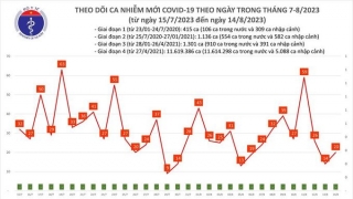 Tối 14/8: Ghi nhận 20 ca mắc COVID-19 mới, có 1 bệnh nhân khỏi bệnh