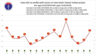 Tối 15/8: Ghi nhận 38 ca mắc COVID-19 mới, có 4 bệnh nhân khỏi bệnh